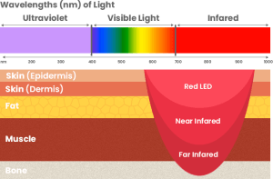 Red light therapy wavelength spectrum chart