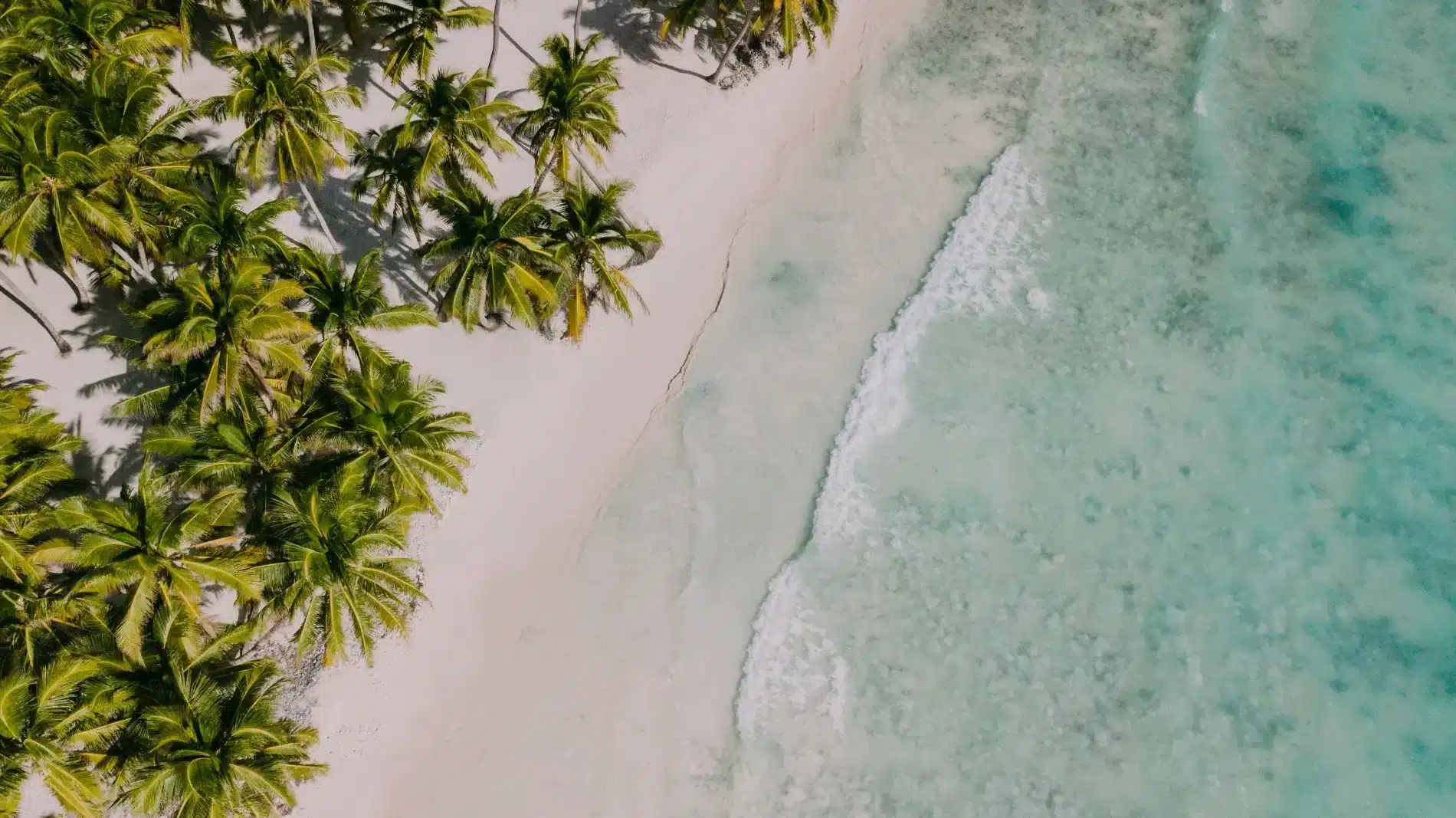 Confirm Top Image Aerial view of a tropical white sandy beach with turquoise waves and palm trees, used on The Tanning Shop booking confirmation page