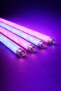 Close-up of pink and blue UV tanning lamp tubes glowing